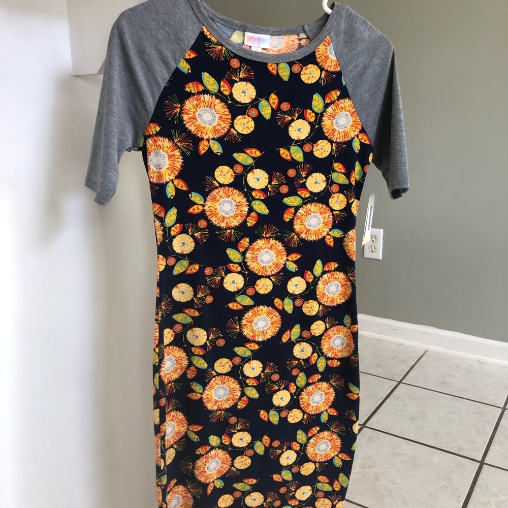 LuLaRoe bodycon dress